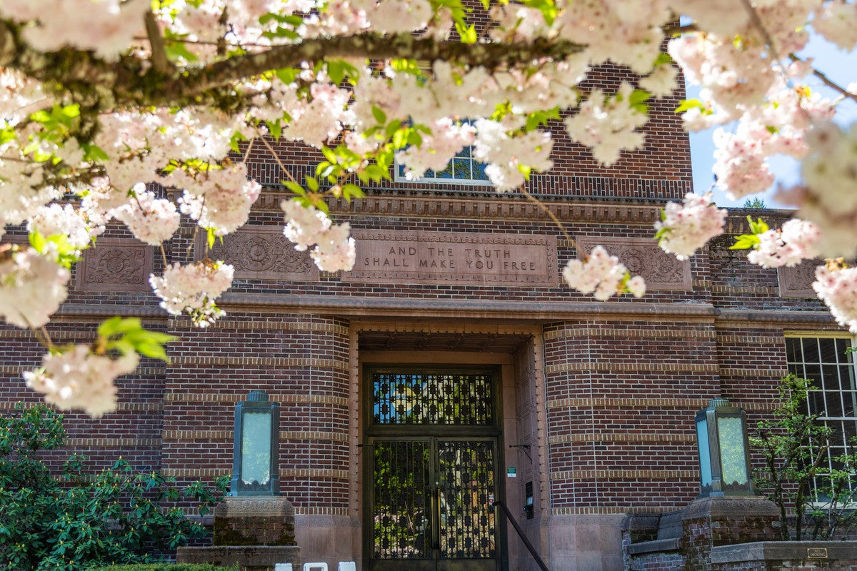Cherry blossoms frame the entrance to the knight library.