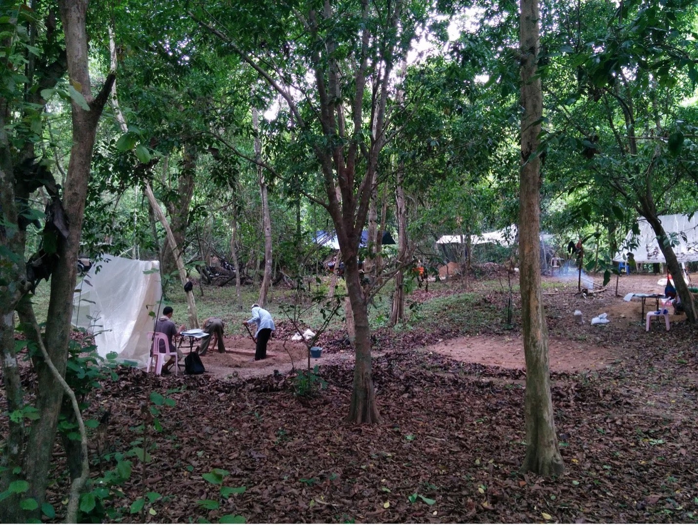 People excavate at an archaeological site under the trees.