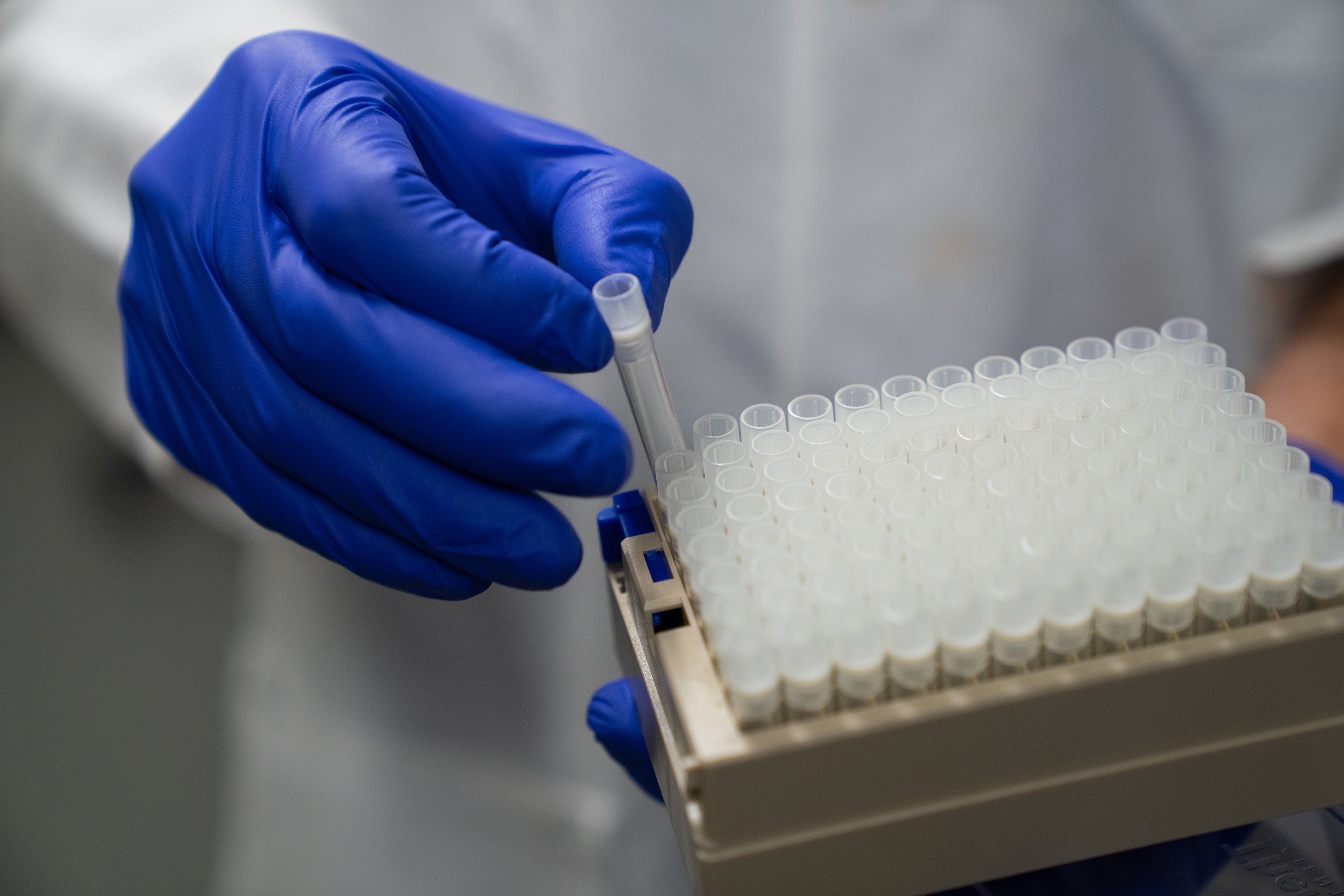 A gloved hand places a small tube into a tray containing other tubes.