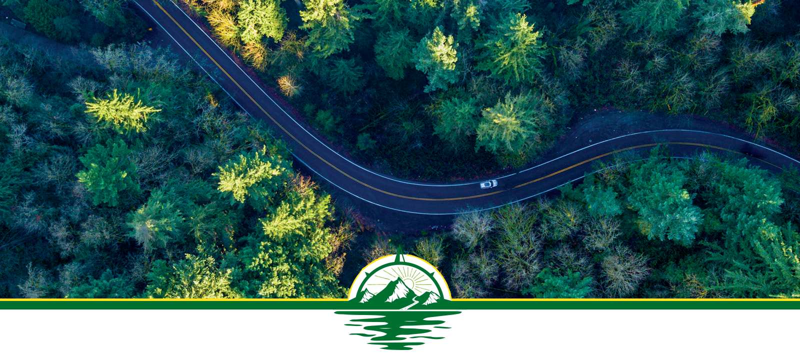 Aerial view of a road surrounded by green trees.