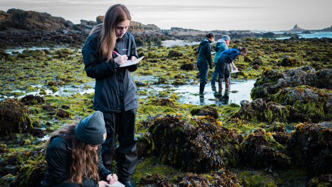 Maddy Rusk and Katie Richardson, both seniors in the marine biology program, take notes to catalogue their finds during tidepooling.