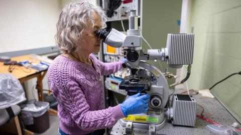 A woman looks into the viewfinder of a microscope in a lab.