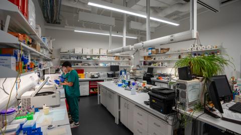 A laboratory at the University of Oregon. There are counters with lab equipment on them and the shelves are lined with supplies.
