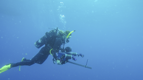 A woman underwater wearing scuba gear and holding a camera.