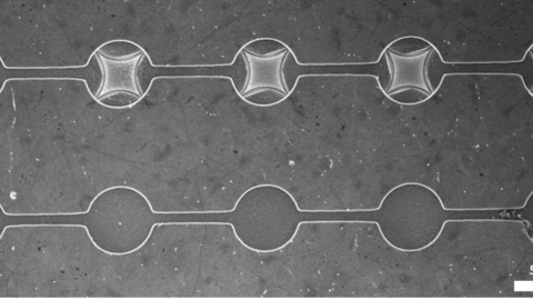 A scan of graphene trampoline and drum arrays is shown in black and white. 