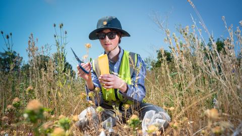 Portrait of Nico Burns in a field