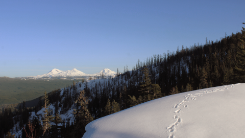 A snow-covered, burn-scarred hillside in the foreground and snow peaked mountains in the background.