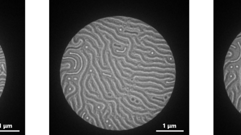 Black and white microscopy images of skyrmions.