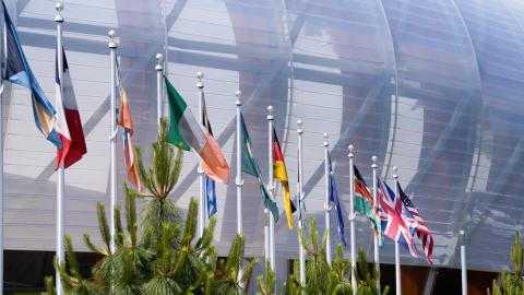 Flags of various nations on poles in front of Hayward Field.
