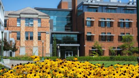 The exterior of the Lewis Integrative Science Building on a sunny day with yellow flowers in the foreground.