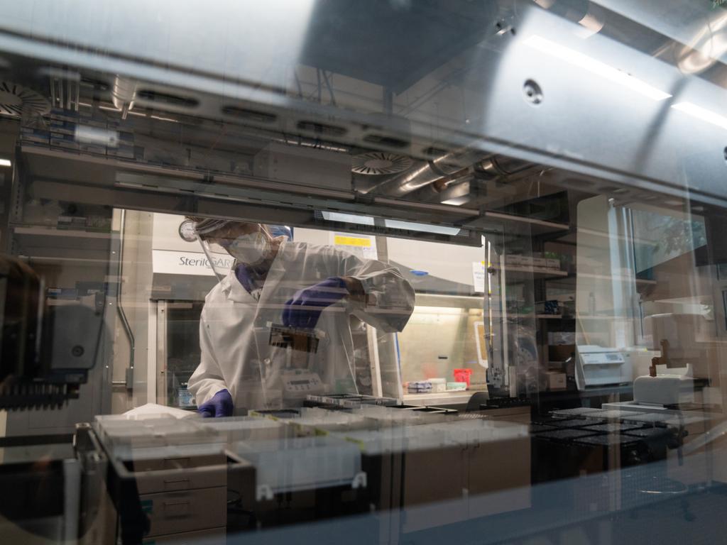 A person in a white lab coat and personal protective equipment in a laboratory works with samples in the Monitoring and Assessment Program, part of the UO's COVID-response.