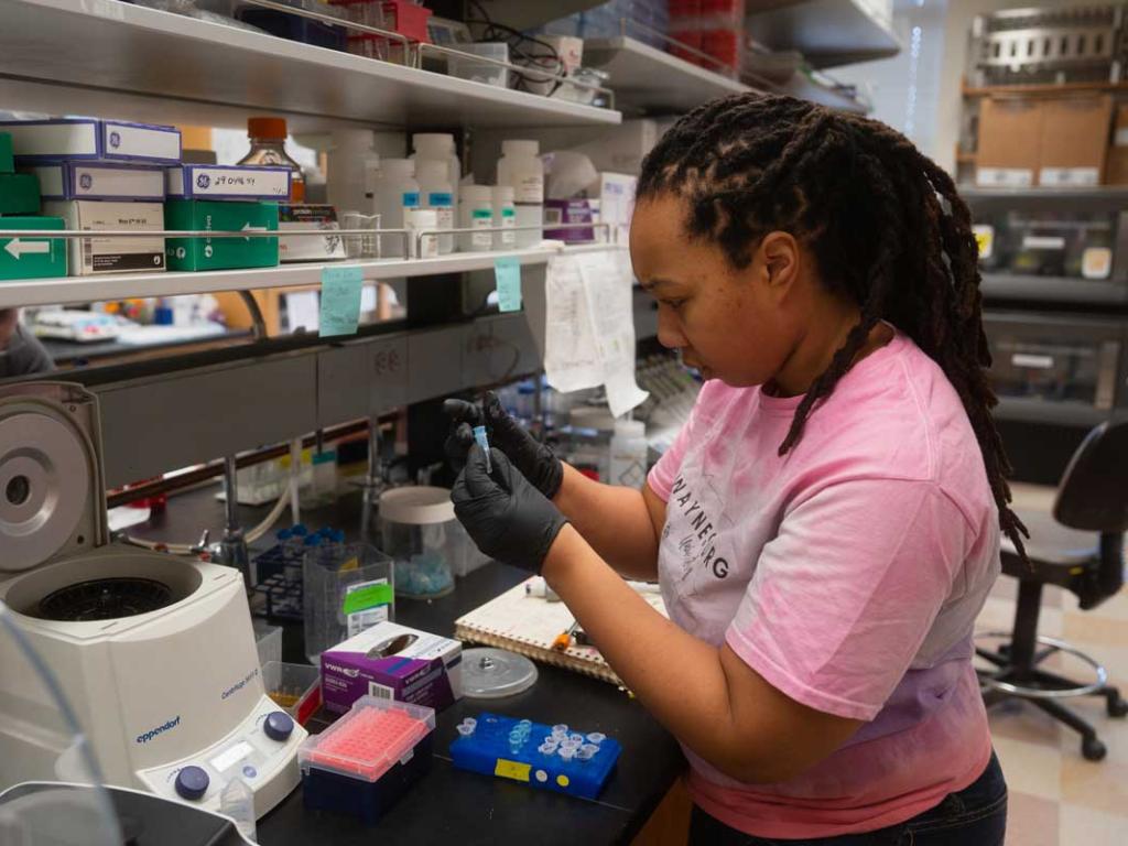 Member of Scot Hansen lab works on test tube