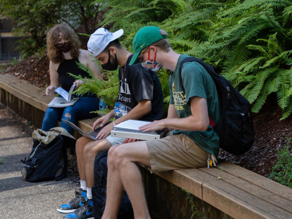 Students study outside on a bench in front of ferns wearing face masks.