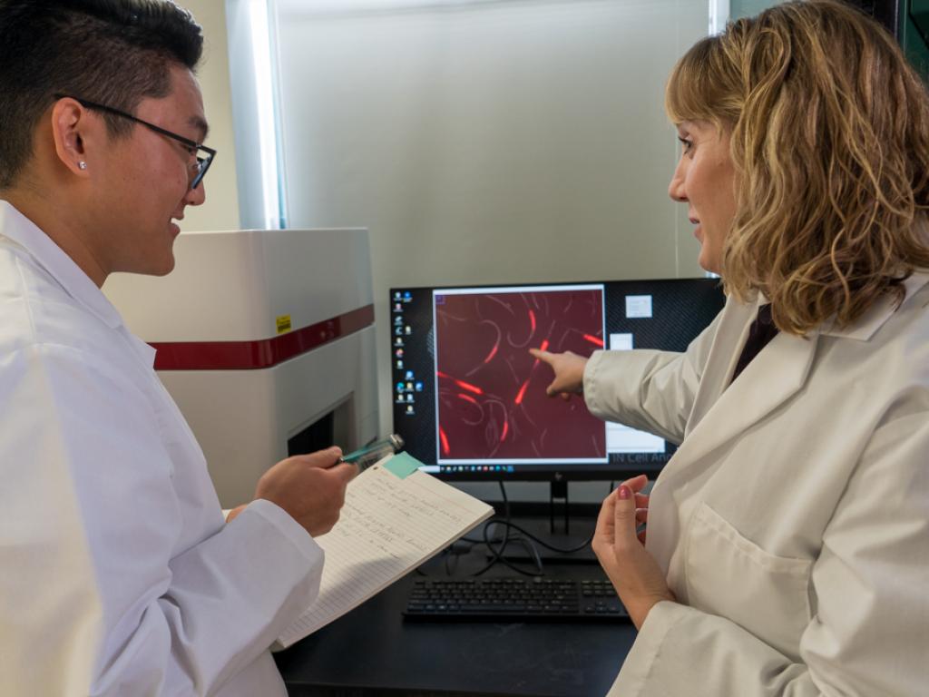 A woman in a lab coat points at an image of nematode worms on a computer screen while talking to a student in a lab coat.
