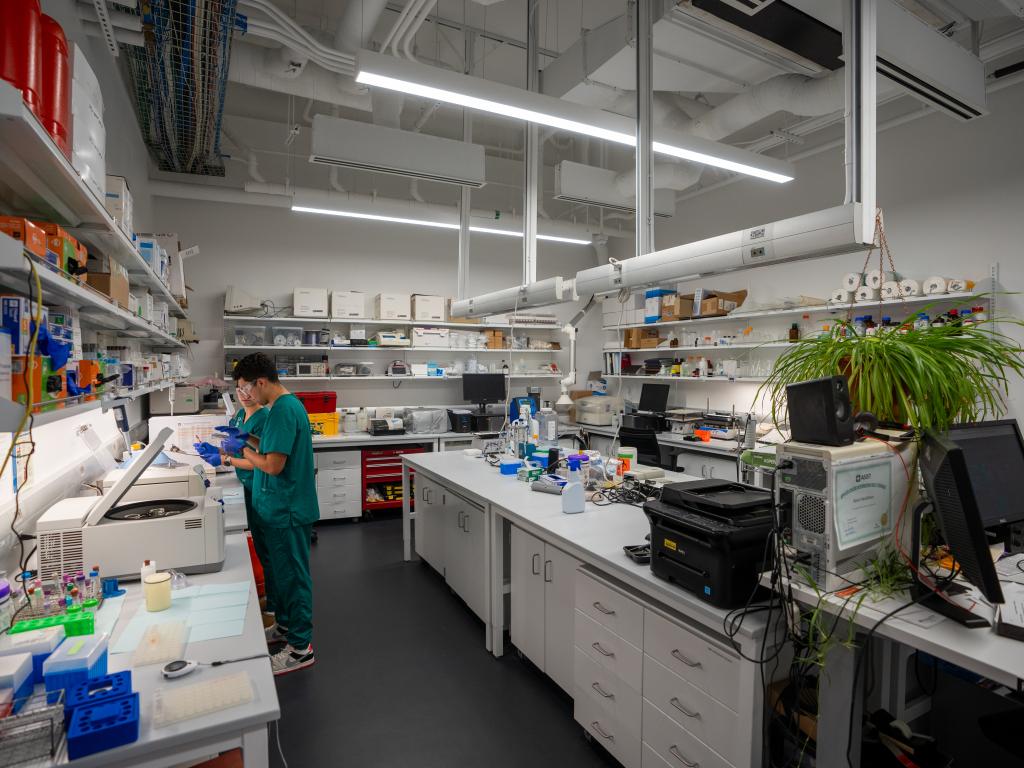 A laboratory at the University of Oregon. There are counters with lab equipment on them and the shelves are lined with supplies.