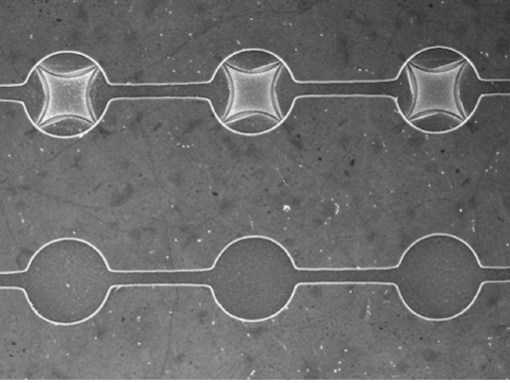 A scan of graphene trampoline and drum arrays is shown in black and white. 