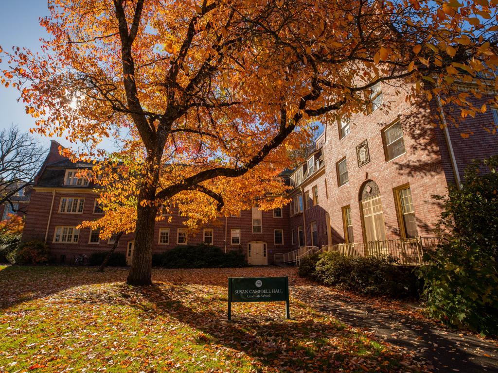 A tree with orange leaves stands before a brick building.