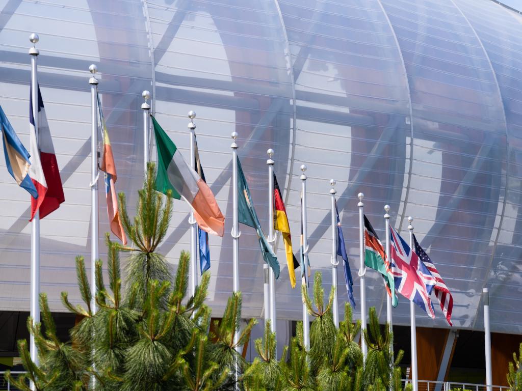 Flags of various nations on poles in front of Hayward Field.