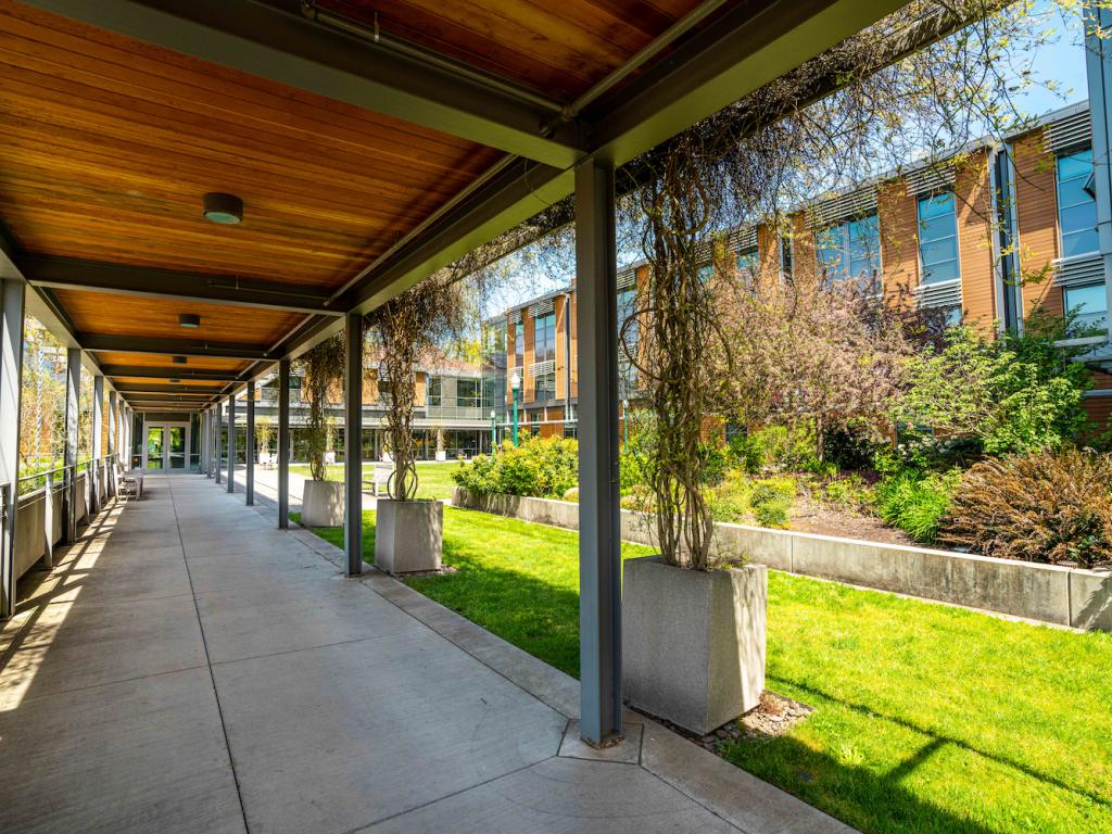 A covered walkway beside a garden.