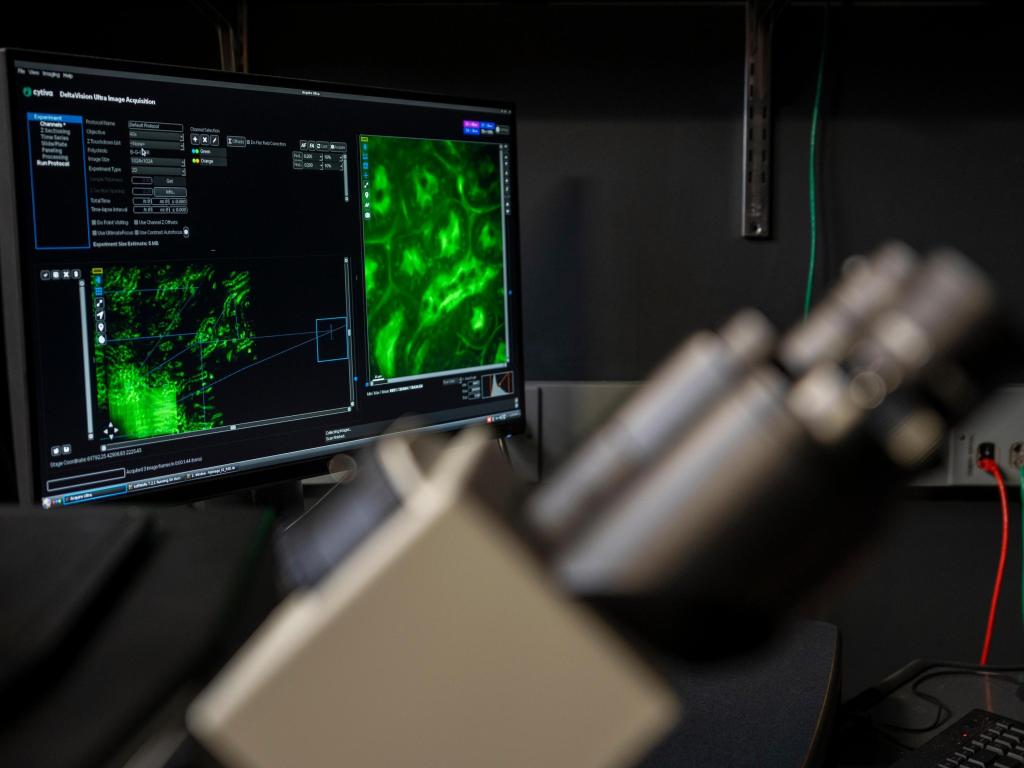 A biological sample image on a computer with a microscope in the foreground.