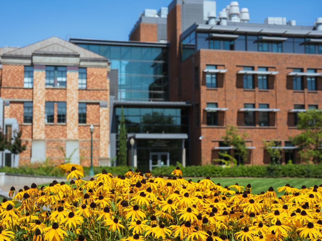 The exterior of the Lewis Integrative Science Building on a sunny day with yellow flowers in the foreground.