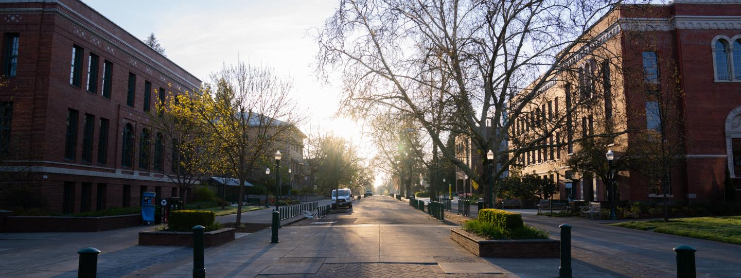 The sidewalks and road of thirteenth avenue between Anstett Hall and Clark Honors College is empty during winter break.