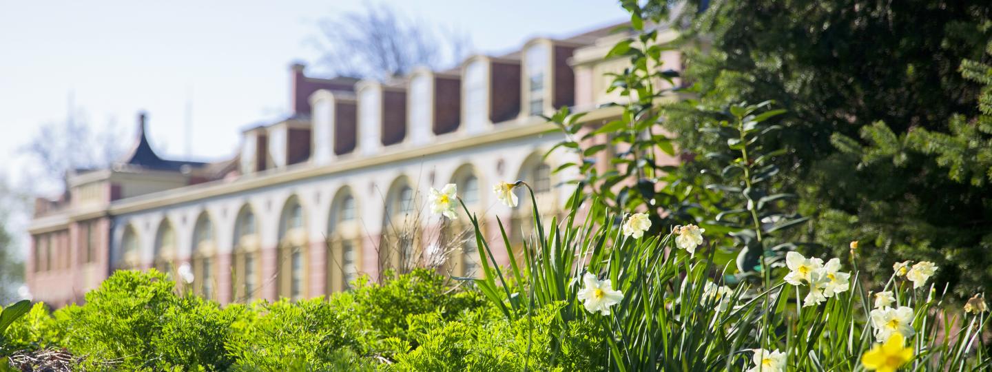 Plants and flowers with campus building in the background.