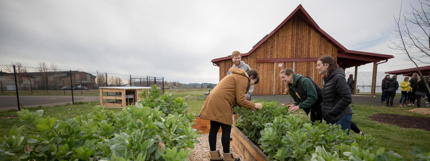 A group of students examine plants in a raised bed at a teaching farm.