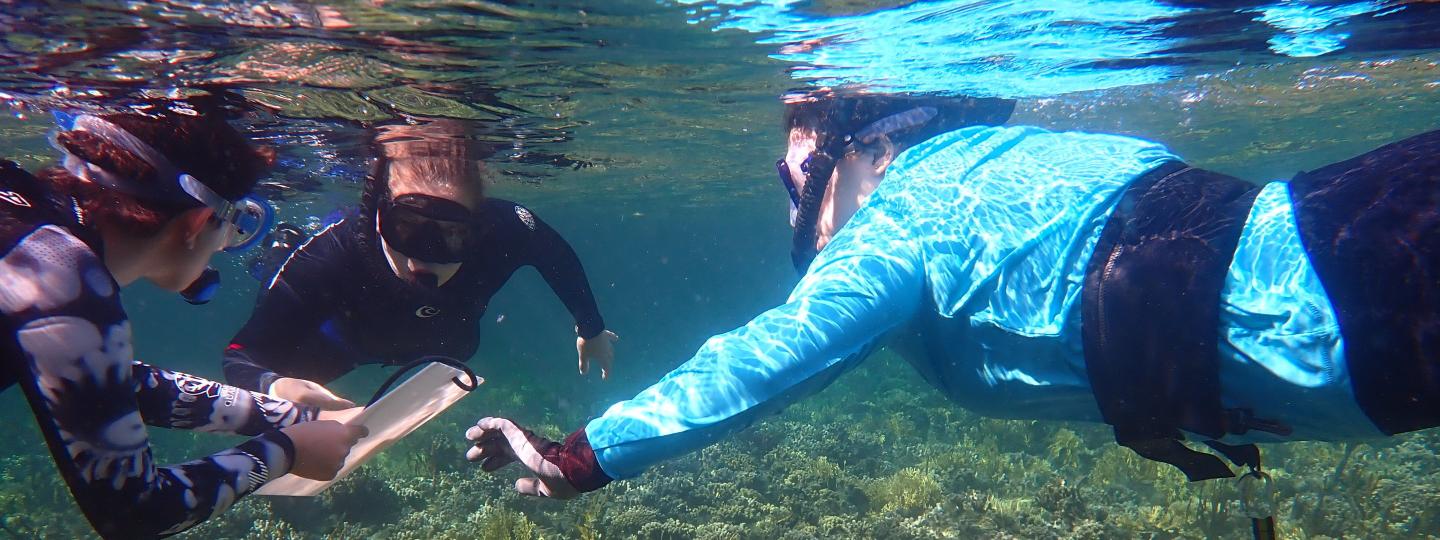Students in snorkling gear gather research samples in shallow water.