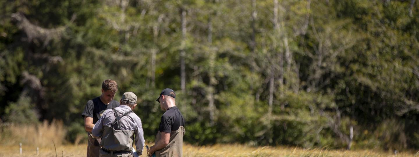 Two students and faculty member stand in an estuary surrounded by of long grass.