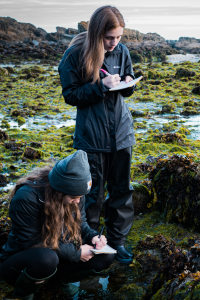 Maddy Rusk and Katie Richardson, both seniors in the marine biology program, take notes to catalogue their finds during tidepooling.