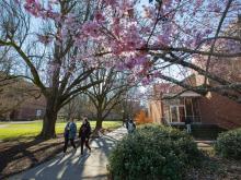 Campus scene with students walking and trees blooming with flowers.
