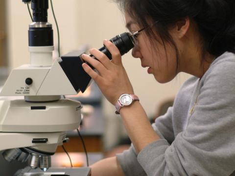 Woman adjusts the focus on a microscope.