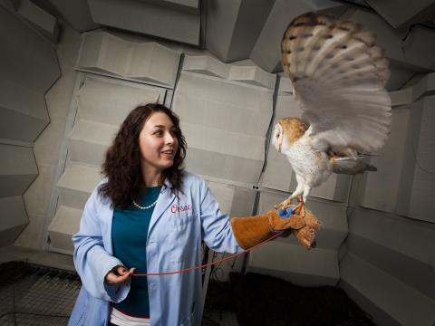A person holds an owl with a gloved hand while the bird spreads its wings.