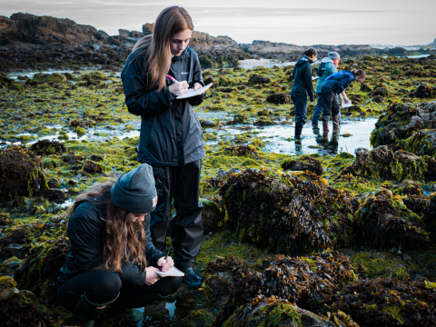 Maddy Rusk and Katie Richardson, both seniors in the marine biology program, take notes to catalogue their finds during tidepooling.