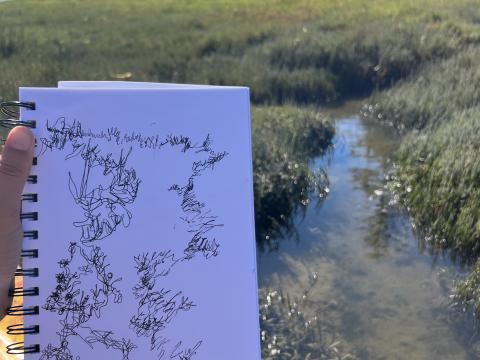 A person's hand holds up an inked sketch of a slough in the Coos Bay Estuary, with the slough in the background on a sunny day.