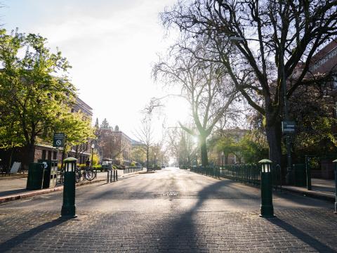 View looking west on 13th Ave on UO campus during springtime. 