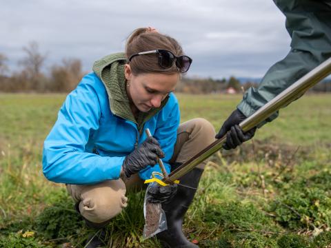 A woman kneels in a field to scrape a soil sample into a collection bag.