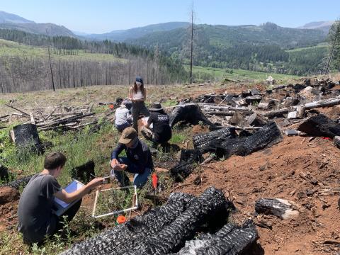 Students couch to take notes among an area of charred logs and stumps.