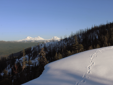 A snow-covered, burn-scarred hillside in the foreground and snow peaked mountains in the background.