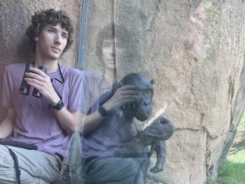 A students sits next to the glass divider of a bonobo enclosures, casting their reflection over a bonobo.