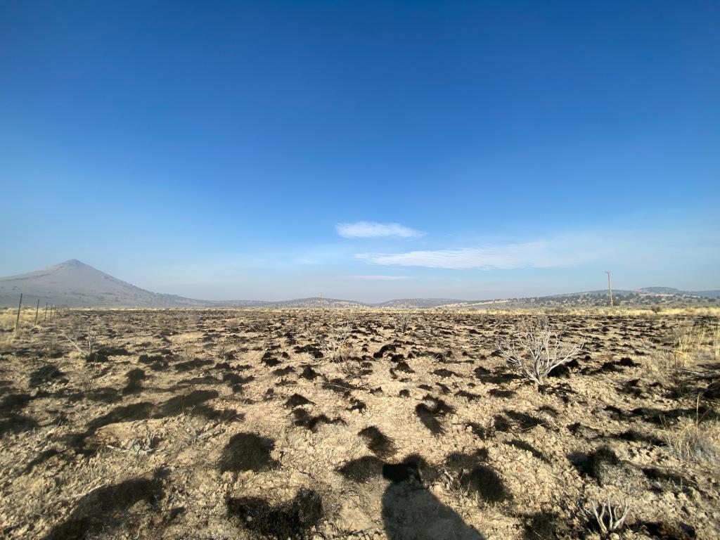 A landscape of the North Great Basin Experimental Range. Mountains line the horizon, which is hazy with clouds, and dry plain dotted with sagebrush is in the foreground. The sky is bright blue.