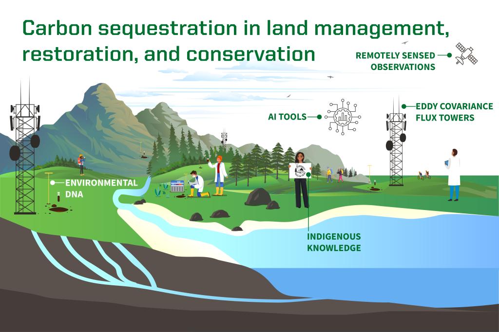 Proposed project components for carbon sequestration include environmental D N A, A I tools, remotely sensed observations, eddy covariance flux towers, and Indigenous knowledge.
