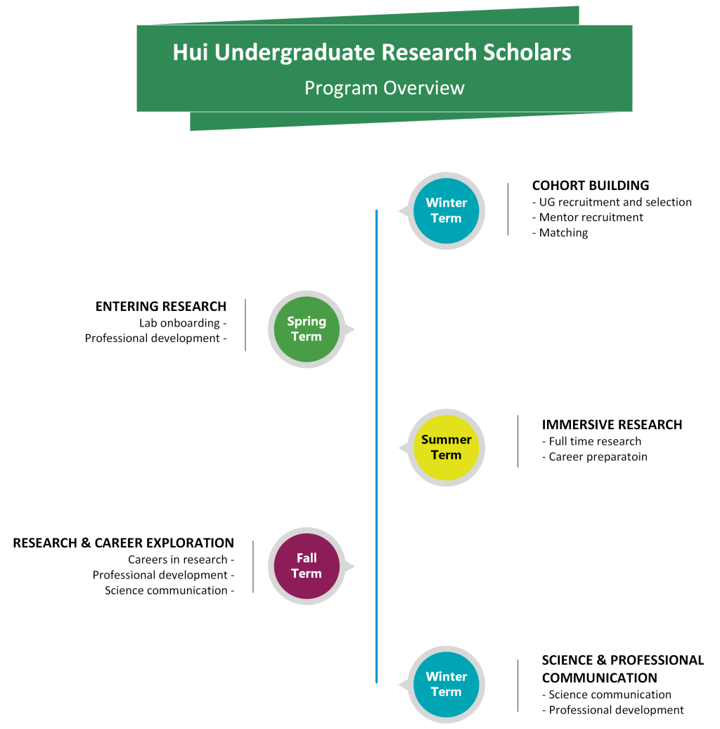 Graphic depicts timeline of what occurs during each academic term of participation in the Hui Undergraduate Research Scholars program. Winter term: cohort building (student and mentor recruitment, selection, and matching). Spring term: entering research (lab onboarding and professional development). Summer term: immersive research and career preparation. Fall term: research and career exploration. Winter term: science and professional communication training.