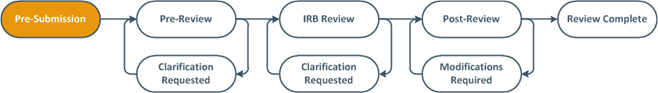 RAP status review diagram showing pre-submission state highlighted.