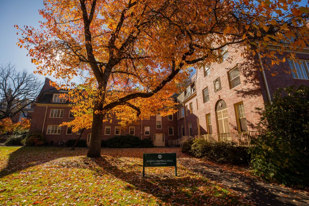 A tree with orange leaves stands before a brick building.