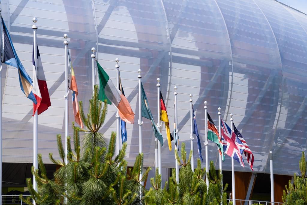 Flags of various nations on poles in front of Hayward Field.