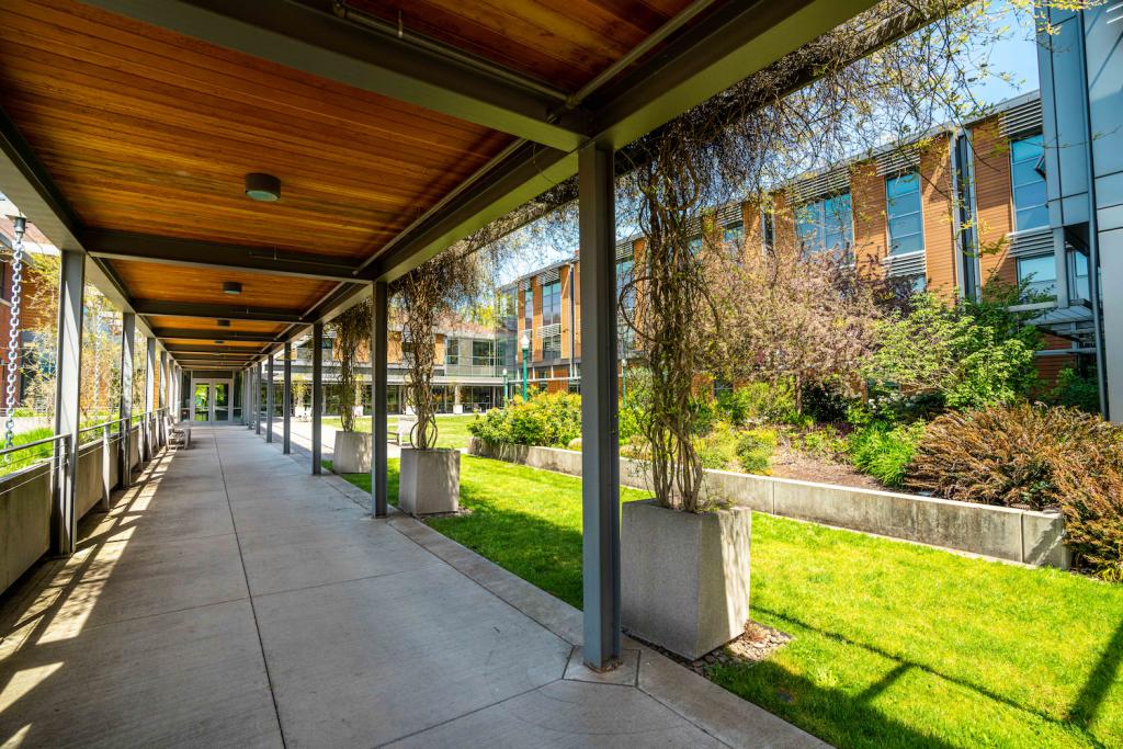 A covered walkway beside a garden.