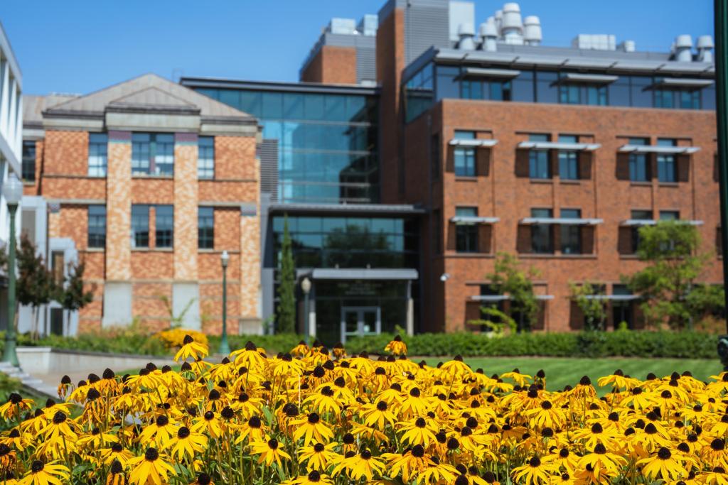 The exterior of the Lewis Integrative Science Building on a sunny day with yellow flowers in the foreground.