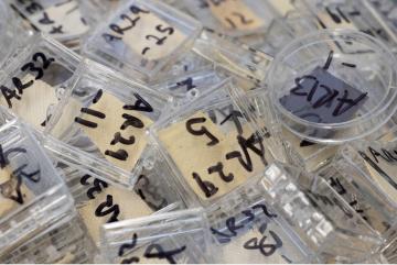 A box of transparent small cases containing samples of undyed cotton and paper treated with the coating, each labeled with a code corresponding to an entry in Rosen’s lab notebook.